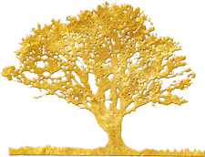 Asheville Tree Service Logo