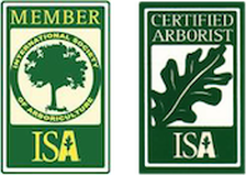 Tree Removal ISA Icons Asheville