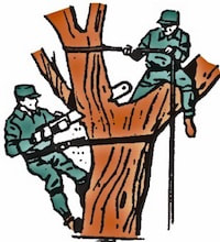 Asheville Tree Service - Tree Removal