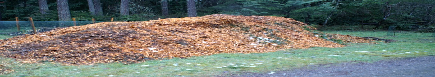 Large wood chip pile outside of Asheville